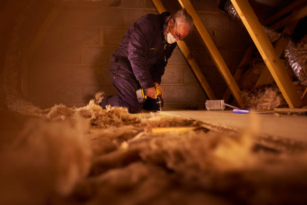 Best Geographic-Specific Insulation Services in Liberty, PA