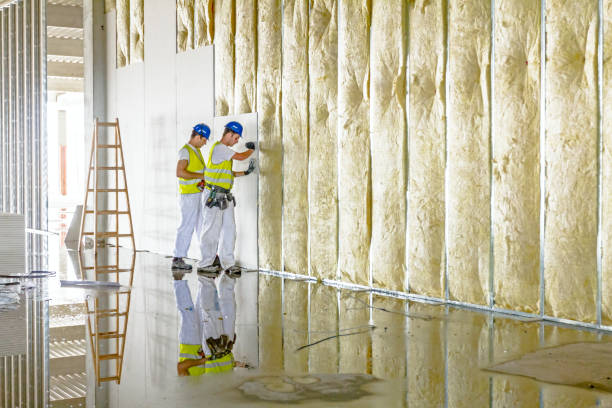 Best Specialized Insulation Services in Liberty, PA